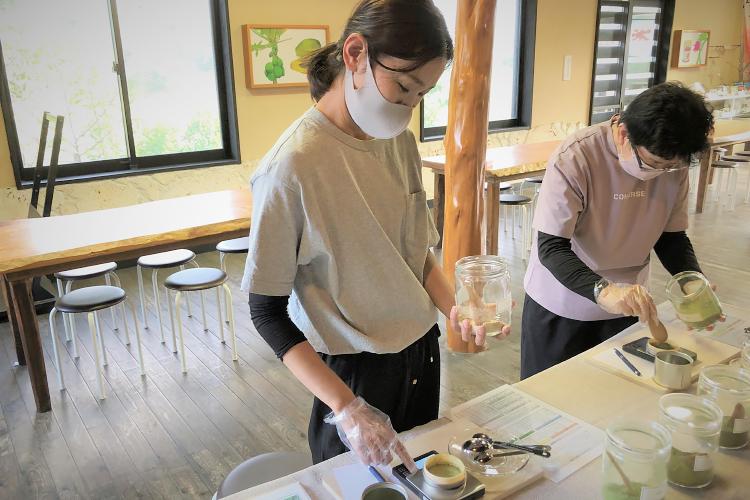 ヨロン島のお茶体験の画像