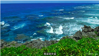 尾道（ビドウ）遊歩道の写真