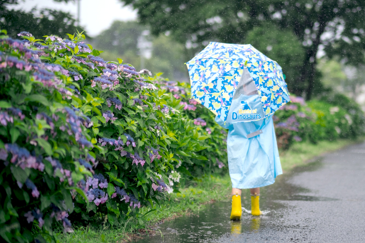 必要なもの-雨対策編