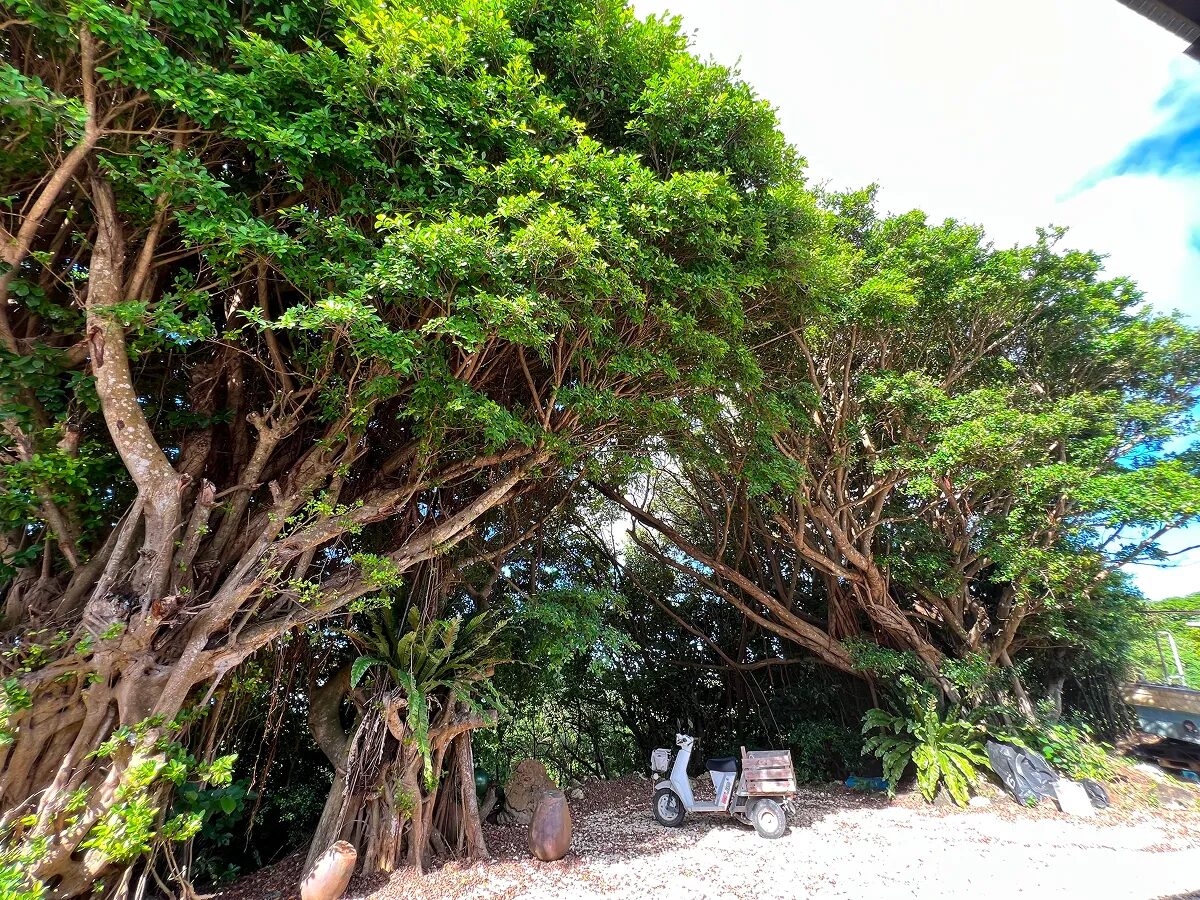 スポット写真02